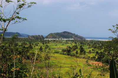 Pantai Palatar Agung dilihat dari kejauhan.