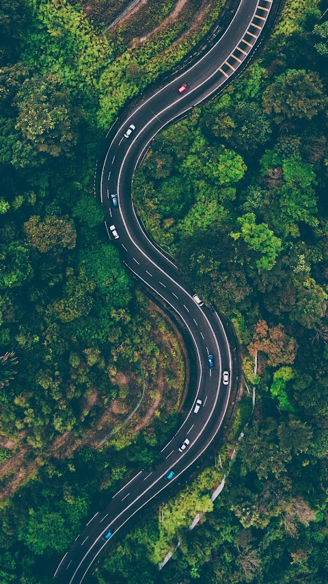 aerial-view-of-road-in-the-middle-of-trees