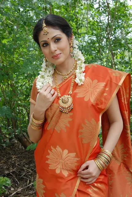 Telugu Actress Sana Hot Orange Saree