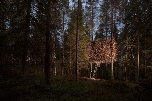 tree hotel by tham & videgard arkitekter 7