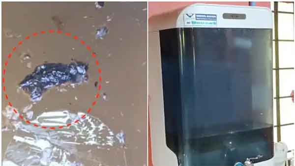 News,Kerala,State,Thrissur,Complaint,Drinking Water,Water,Children,Health,Health & Fitness,Independence-Day,Parents,Police, Thrissur: Dead rats found in anganwadi water tank