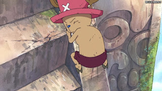 ワンピース アニメ 空島 スカイピア 161話 チョッパー Tony Tony Chopper | ONE PIECE Episode 161 Skypiea