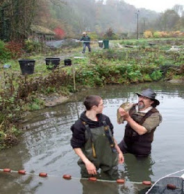 http://www.stroudlife.co.uk/Keeping-Local-Stroudco-Foodhub-Hand-reared-trout/story-26259812-detail/story.html