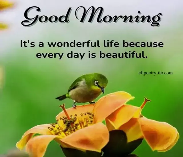 heart-touching-good-morning-messages-for-friends-long-good-morning-messages-for-him-beautiful-good-morning-quotes-and-wishes-start-your-day-good-morning-beautiful-images-with-quotes-have-a-beautiful-day-for-her-to-make-her-smile-sunday-morning-tuesday-quotes-messages-nice-nature-quotes-in-english
