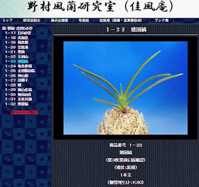  http://www.fuuran.jp/1-23.html