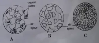 [There are three soil diagrams labeled A, B, and C.]  •	A: Shows a cross-sectional diagram of soil with large air spaces and some organic matter distributed throughout.  •	B: Displays a soil structure with smaller, more compacted particles and less air space compared to A.  •	C: Presents a very compacted soil structure with fine particles and very little air space.