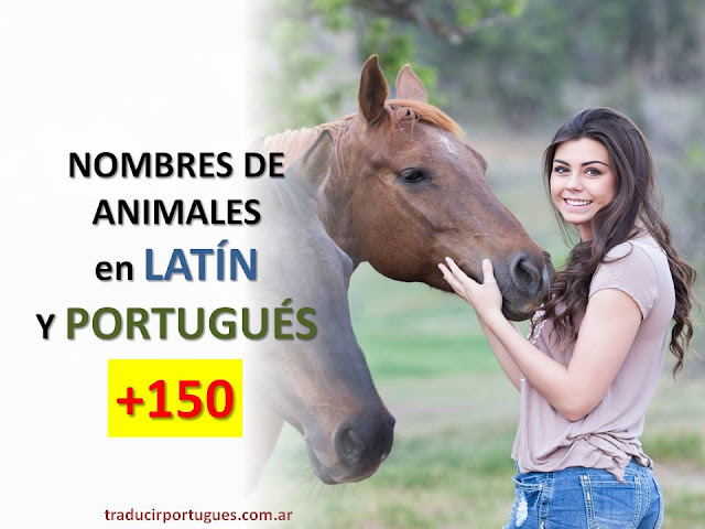 nombres científicos de animales, traducciones de portugués, traductora de portugués