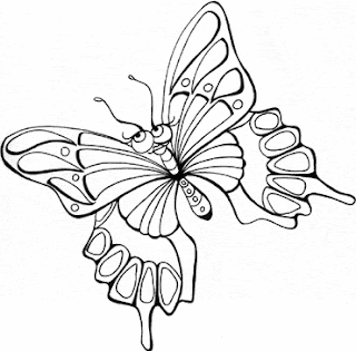 butterfly coloring pages, kids coloring pages