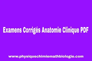 Examens Corrigés Anatomie Clinique PDF