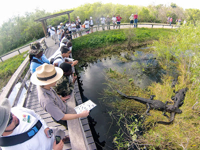 Everglades National Park