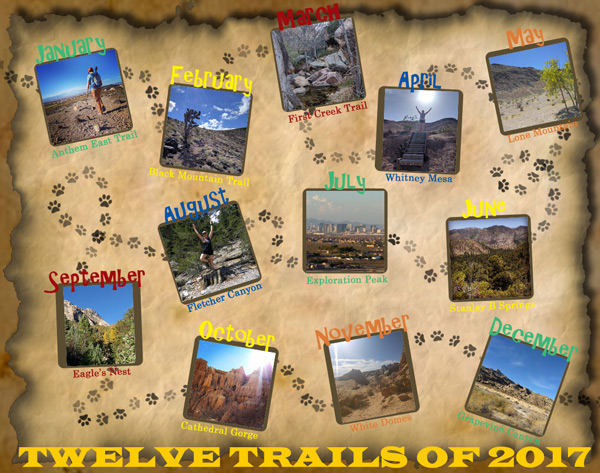 Twelve Trails of 2017