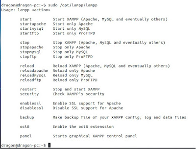 Daftar variasi cara untuk menggunakan XAMPP melalui terminal atau console