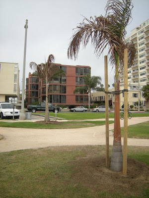 Chris Penn's Suicide Condo