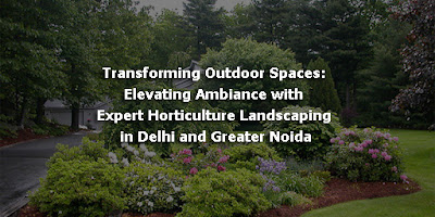 Transforming Outdoor Spaces: Elevating Ambiance with Expert Horticulture Landscaping in Delhi and Greater Noida