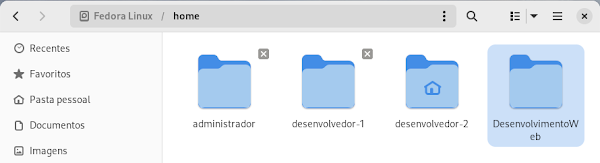 Vista geral das pastas em /home/ a partir da conta do desenvolvedor-2