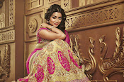 shriya saran cmr shopping mall ad-thumbnail-20