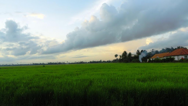 kerala backwaters