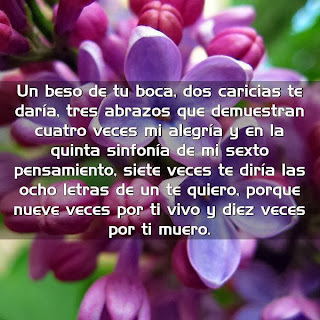 Frases De Amor Para Compartir En Facebook