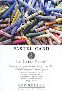 Pastel Paper Review, Pastelmat, Pastel Card, Daler Rowney, Velour 
