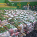 ASSISTÊNCIA SOCIAL | Secretaria faz entrega de cestas básicas para população de São Joaquim do Monte