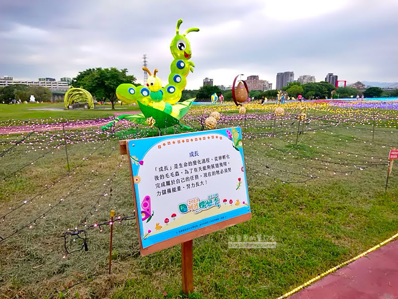 板橋蝴蝶公園,地景花海光雕,板橋景點,河濱蝶戀季