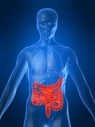 Description of Colon Cancer