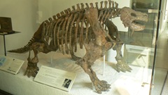 P1280235