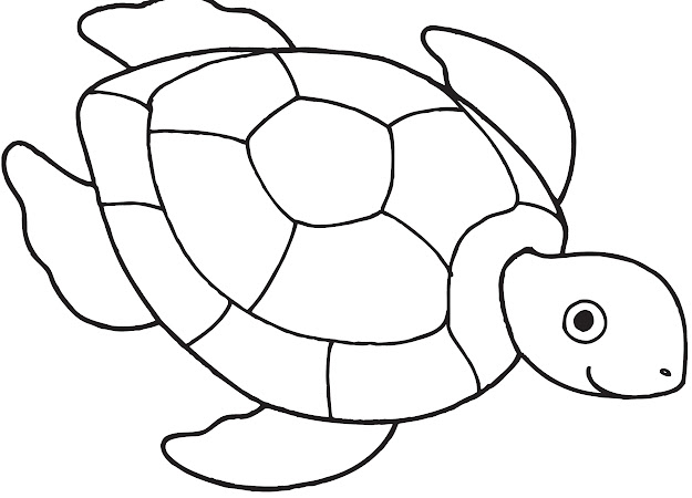 Sea Turtle Coloring Page Tweeting Cities Free Coloring Pages
