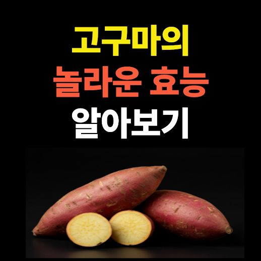 고구마 효능 총정리! 하루 한 개로 건강 챙기세요 썸네일