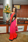 Deeksha panth sizzling saree stills-thumbnail-23
