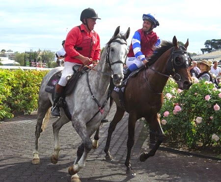 aus cup_spillway 7