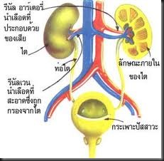 images[7]