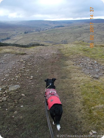 black hill reccy 028
