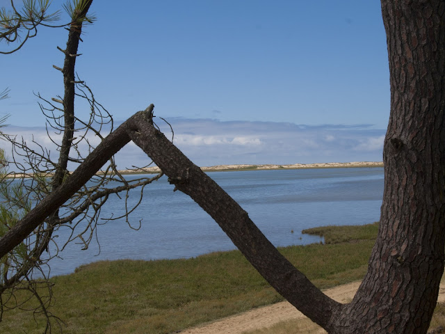 jiemve, Royan, Côte de Beauté, paysage