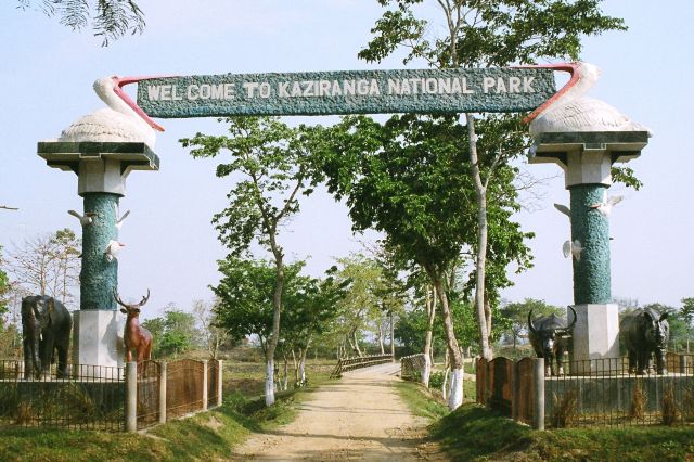 Kaziranga National park