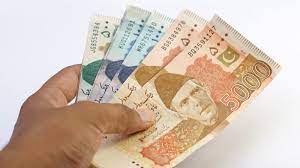 Unrevealing the Factors Behind the Decline of Pakistani Currency