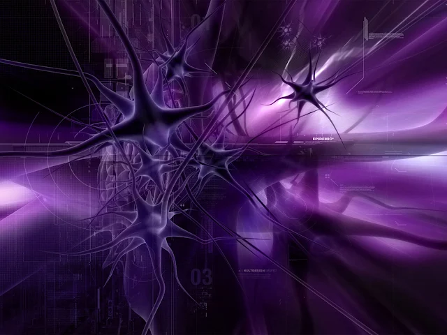  Desktop wallpaper, wallpaper 1920x1080, Desktop wallpaper full screen, Full hd wallpaper download.