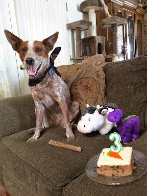 Dog with birthday cake and number candle