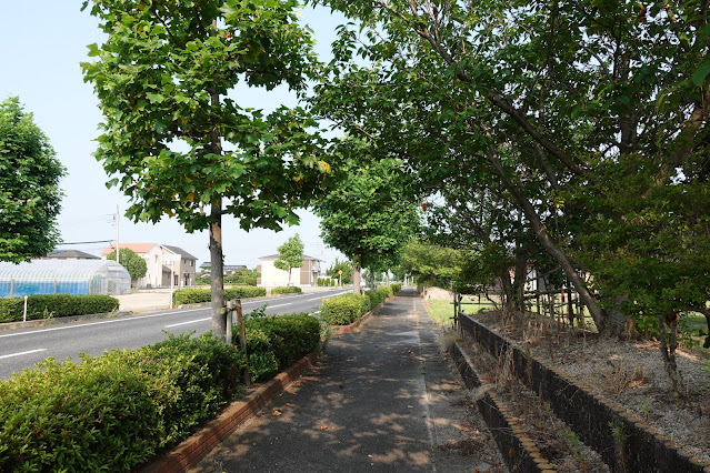 日吉津道路