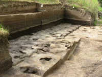 300,000-year-old footprints uncovered in Germany.