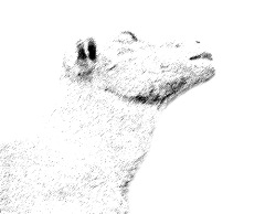 HYMN 01