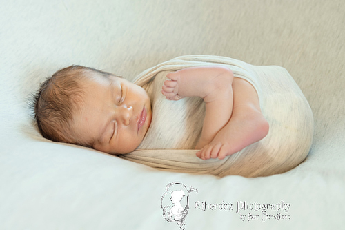 Professional portrait of a newborn baby using a round backdrop stand