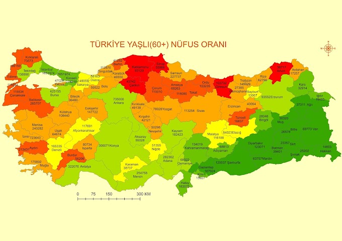 TÜRKİYE'NİN YAŞLI (60+) NÜFUSU