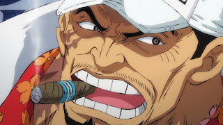 ワンピースアニメ サカズキ SAKAZUKI  赤犬(あかイヌ) Akainu 海軍本部元帥 ONE PIECE Fleet Admiral