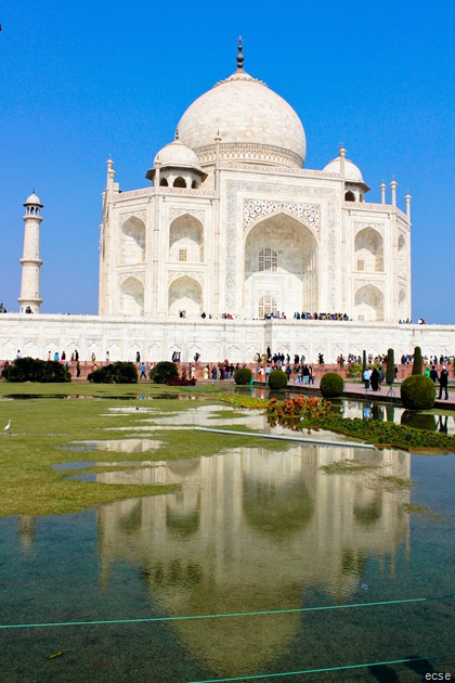 India 135