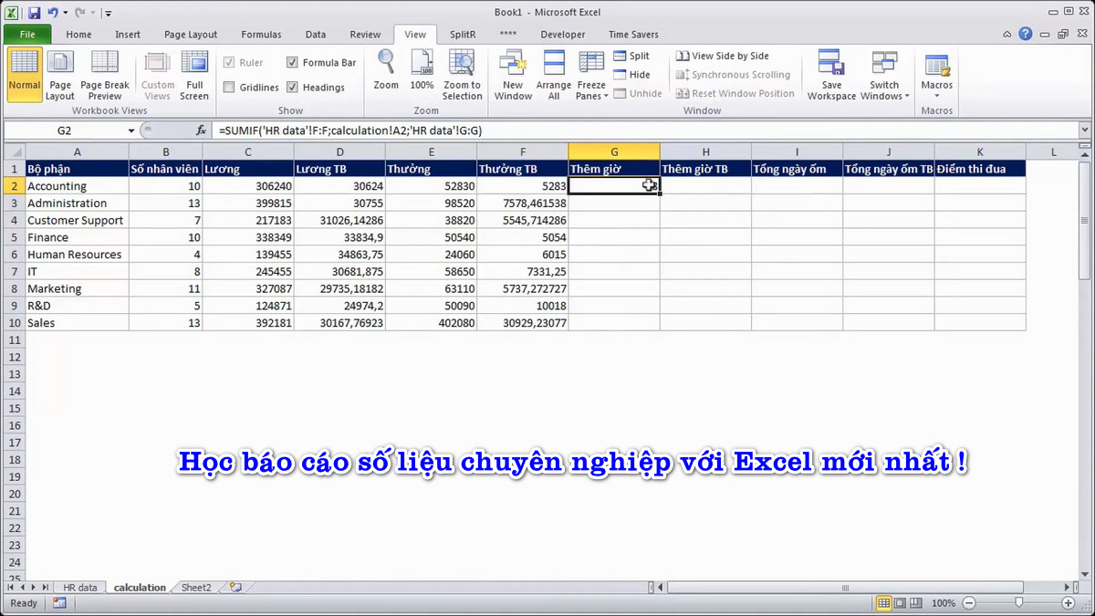 Video tiếng Việt học báo cáo số liệu với Excel chuyên nghiệp. VIP