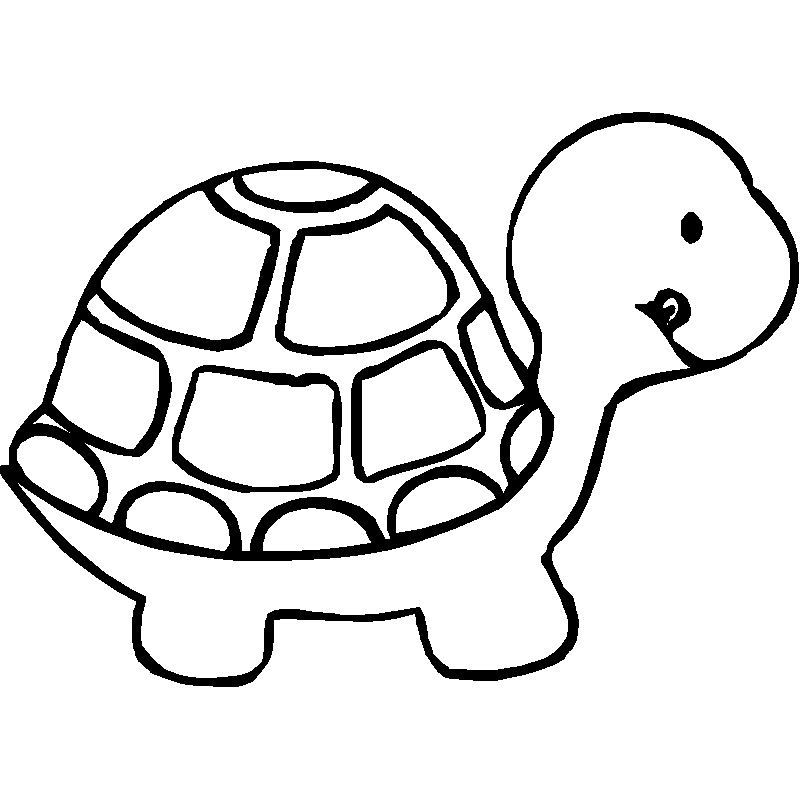 Turtle Coloring Pages