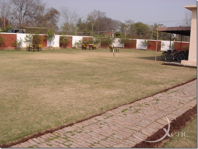 DSC02980