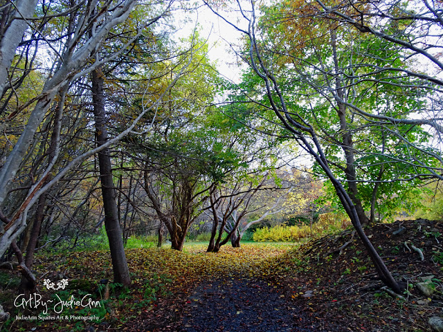 Beautiful Newfoundland Photos