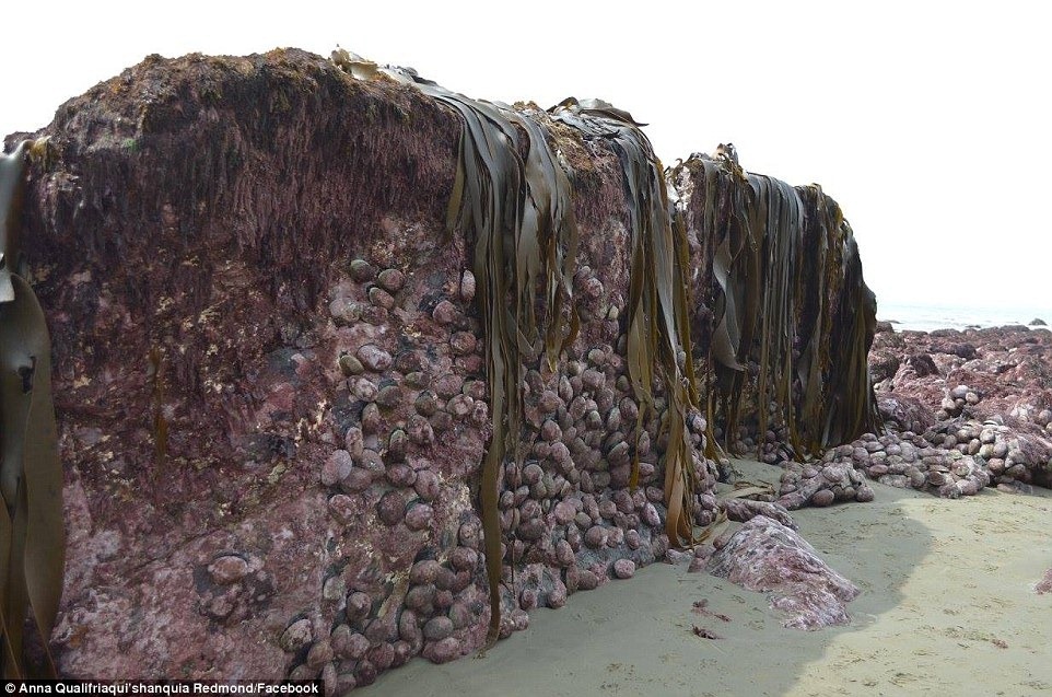 nz-earthquake-coastline-1